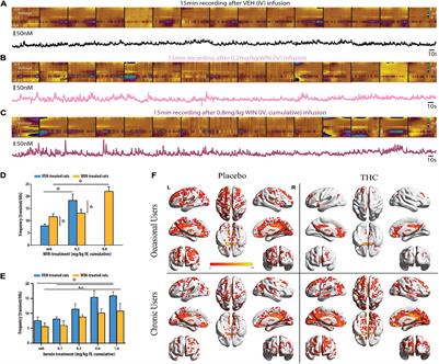 Cannabinoid Modulation of Dopamine Release During Motivation, Periodic Reinforcement, Exploratory Behavior, Habit Formation, and Attention